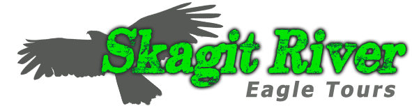 Skagit River Eagle Tours